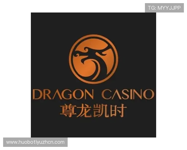 尊龙时凯中国集团人生官网：全面介绍企业发展历程与未来规划